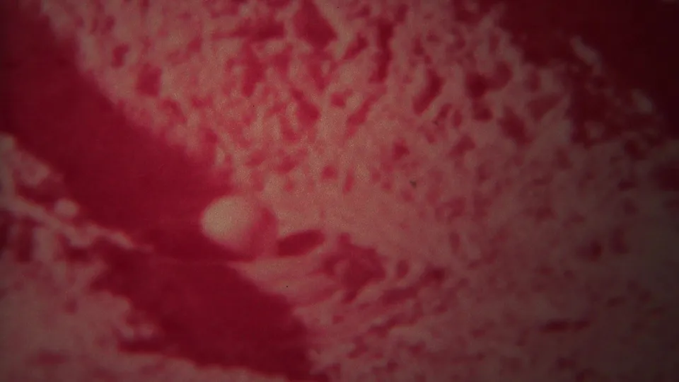 1967 Yellowstone 8mm frame showing an abstract red-tinted close-up of moving river water, soft focus, grain, and shadowed ripples.