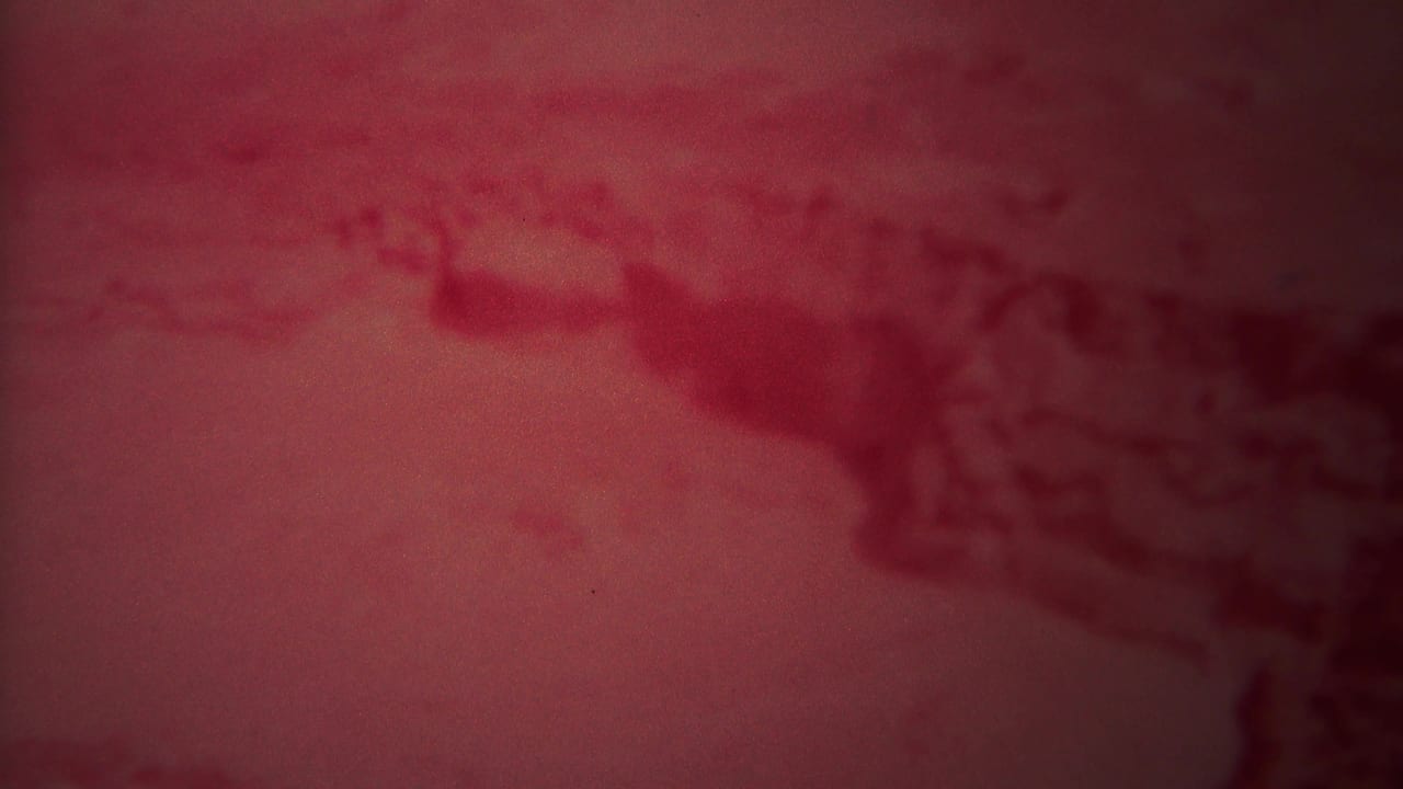 Soft red close-up of water surface with darker forms near the top and right edge.