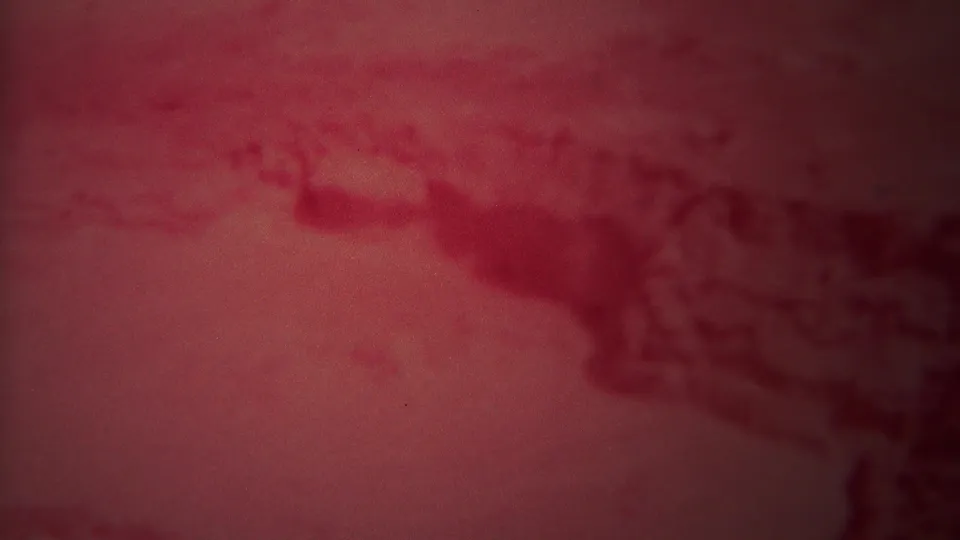 1967 Yellowstone home-movie frame with a red cast over a blurred river surface and darker water shapes along the frame edges.