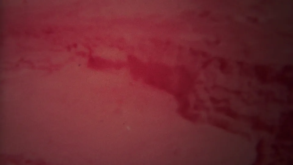 1967 Yellowstone 8mm close-up of flowing water, with a dark central form, faint highlights, grain, and heavy red color shift.