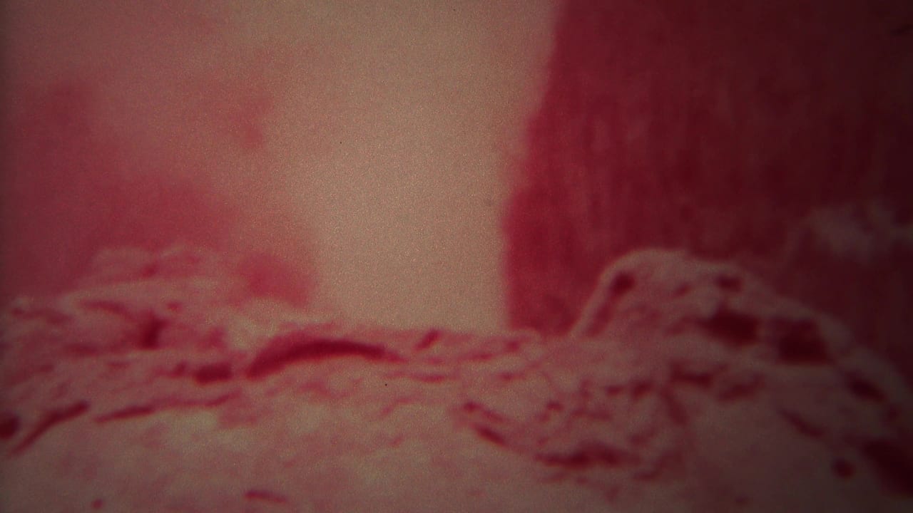 Close view of steam and rocky geyser terrain.