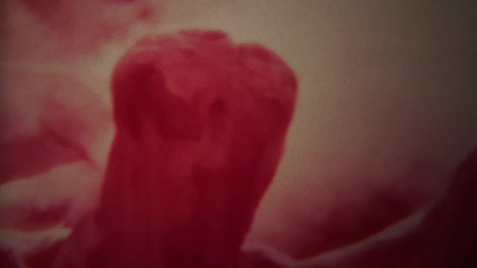 Close red-tinted 8mm view of a rounded geyser rock or vent form with soft steam and background detail.