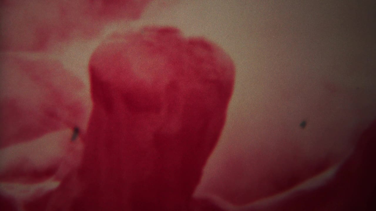 Red-tinted soft-focus close-up of an indistinct rounded form on 8mm film.