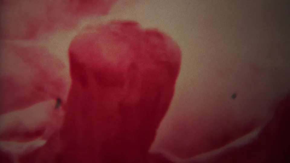 Red-tinted 1967 8mm Yellowstone frame with a soft, abstract close-up and visible film grain.