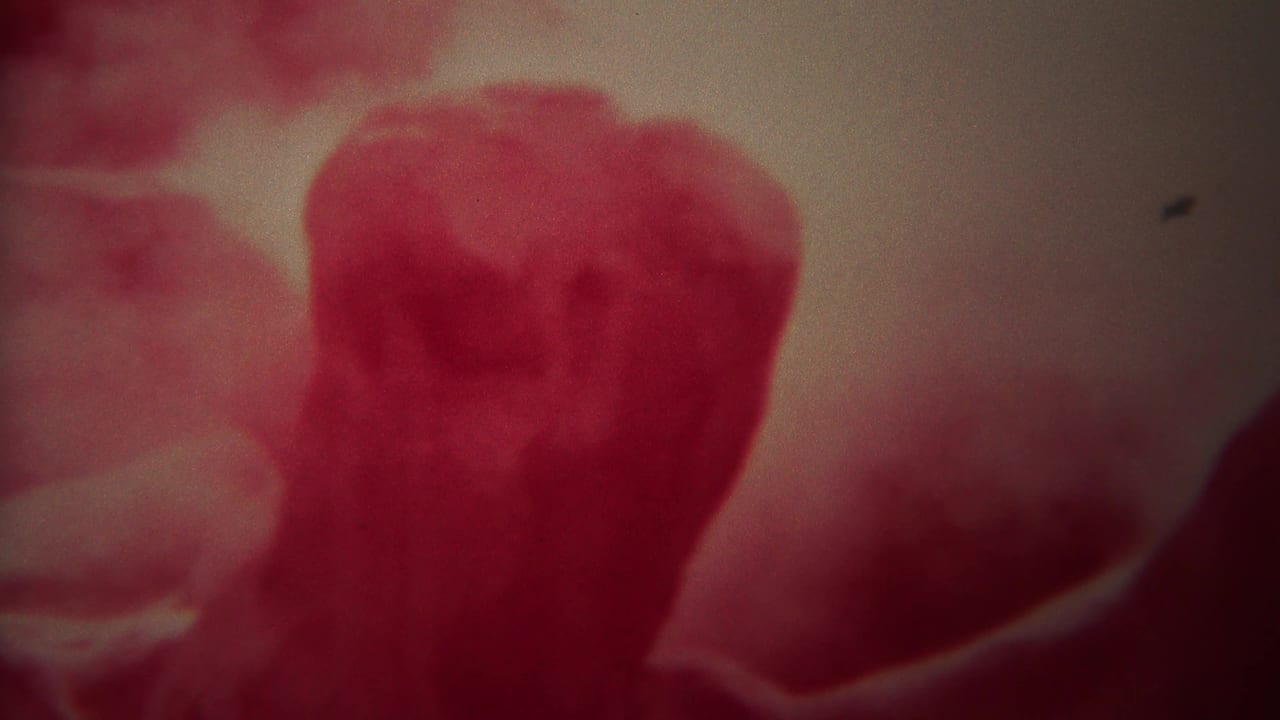 Red-tinted close-up with a rounded foreground shape and dark speck on the right.