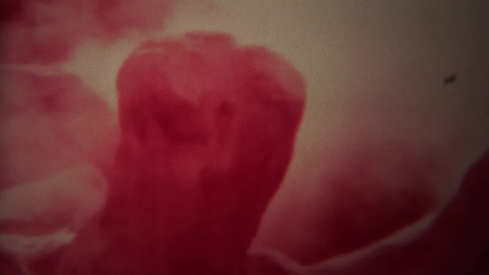 Soft red-tinted 8mm frame from the Yellowstone clip, showing an indistinct close foreground form and film speckling.