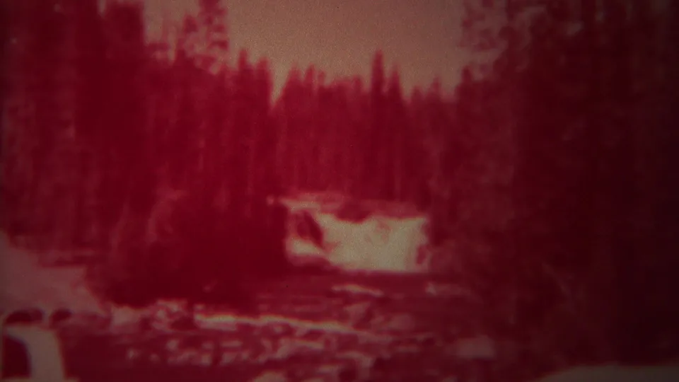 1967 Yellowstone home-movie frame of a bright rushing stream bordered by dark pine forest, with part of a vehicle visible below.