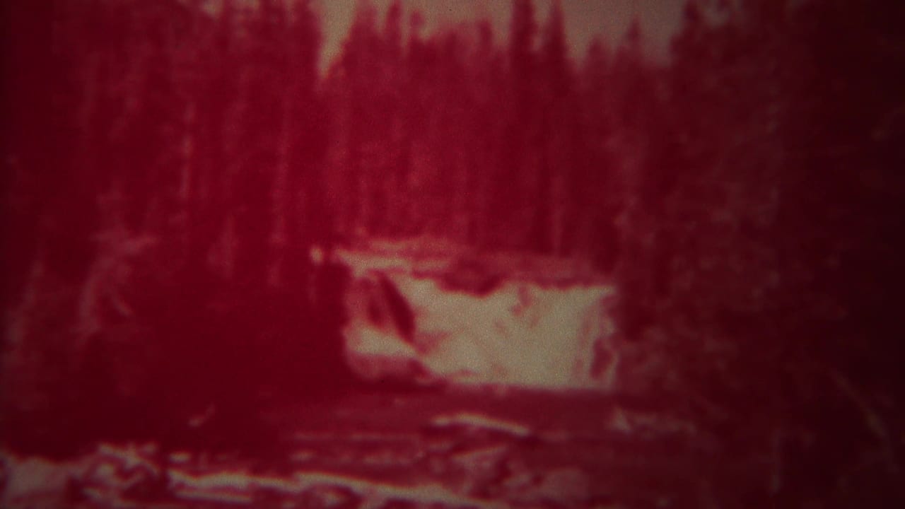 Red-tinted wooded waterfall or rapid seen through soft 8mm film grain.