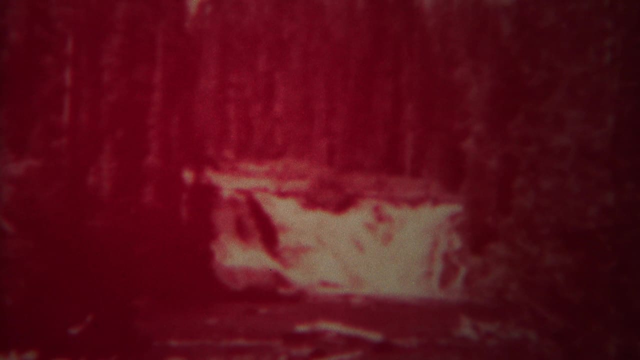 Soft red frame of a forest waterfall or rapid with trees in the background.