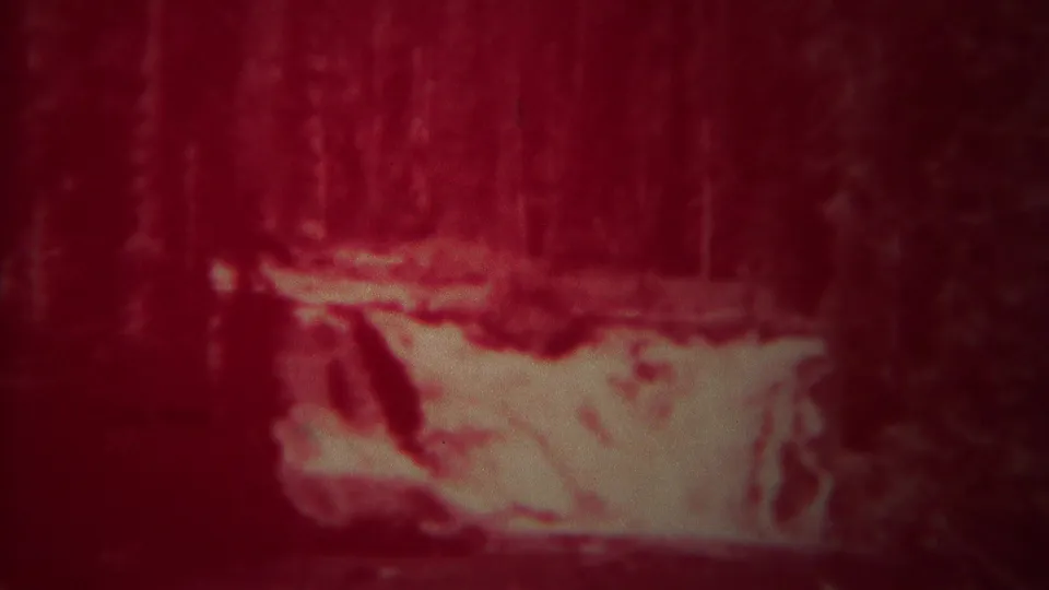 1967 Yellowstone home-movie frame showing bright cascading water beneath dense trees, with soft focus and red film fading.