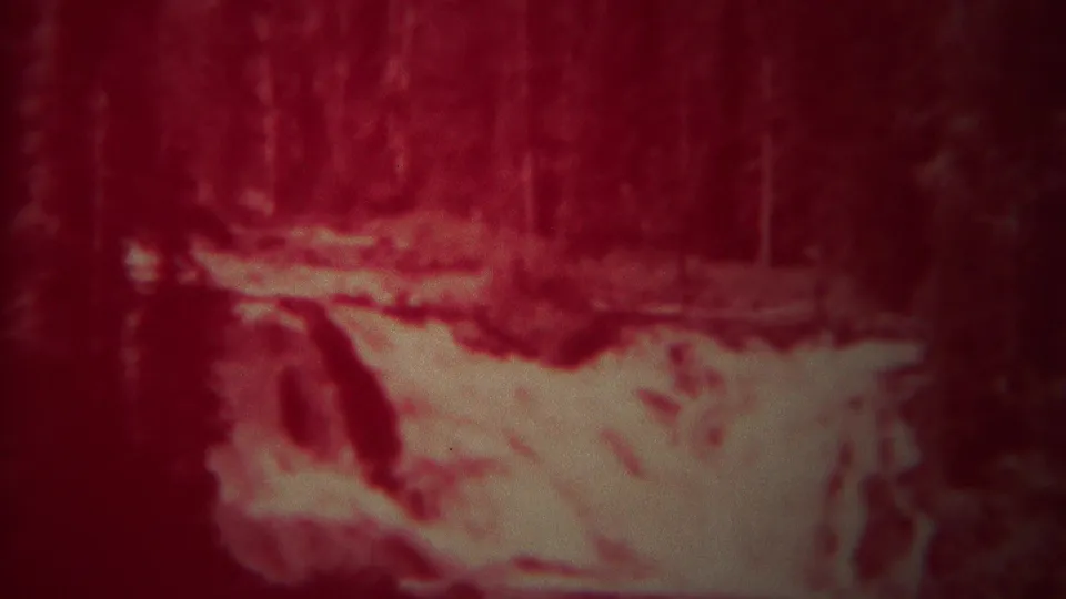 1967 Yellowstone frame showing a wooded waterfall or rapid, with bright water, evergreen trees, and pronounced red color fading.