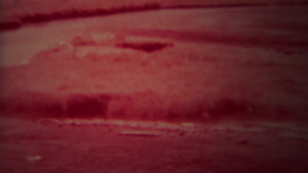 Crimson-toned water and shadowed riverbank with blurred highlights.