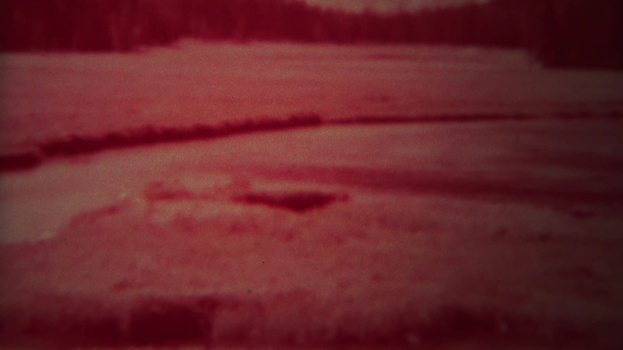 Soft red view of pale open ground or ice with a dark wooded horizon.