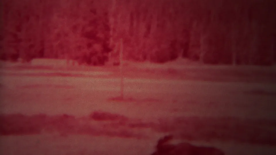 1967 Yellowstone home-movie frame showing a red-shifted snowy clearing, conifer shapes, bare trees, and open park ground.