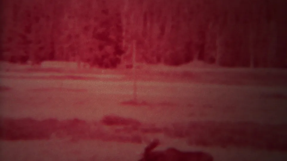 1967 Yellowstone frame showing a red-tinted winter park view with trees, pale ground, and a dark lower frame edge.