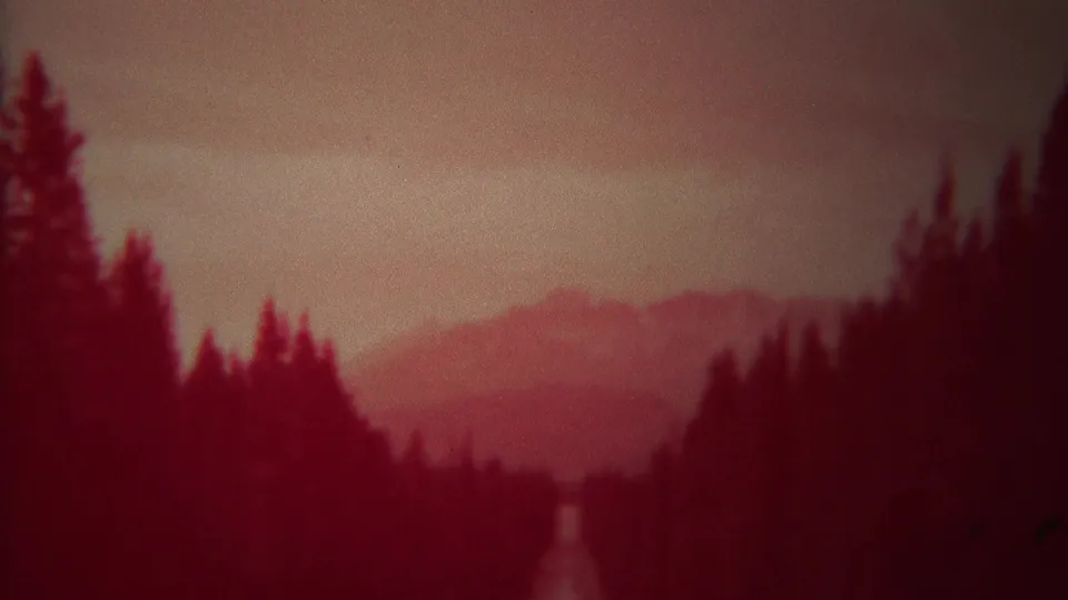 A pine-lined Yellowstone landscape looks toward distant mountains under a hazy sky in red-shifted 8mm footage.