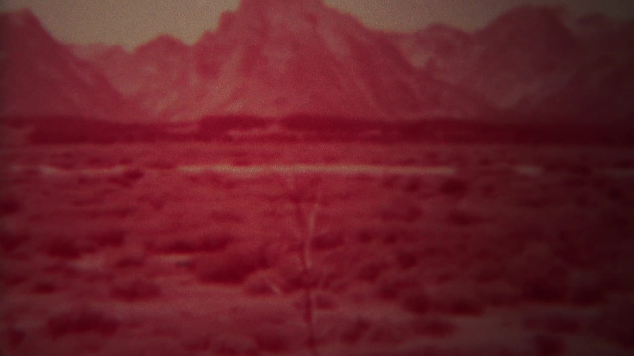 Red-tinted open shrubland with a distant mountain range and pale sky.