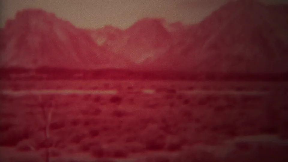 1967 home-movie still of red-shifted Wyoming terrain, with a bare foreground plant, low shrubs, and mountains in soft focus.