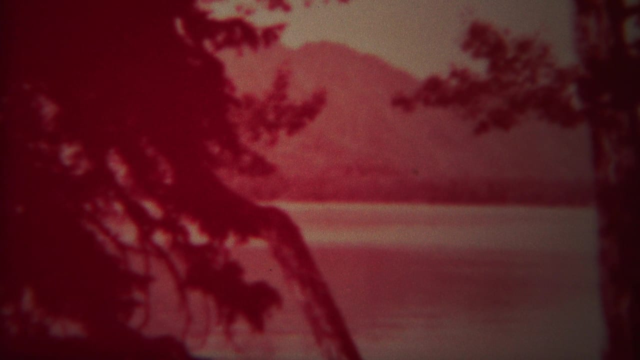 Dark tree silhouette frames a lake with pale mountains in the distance.