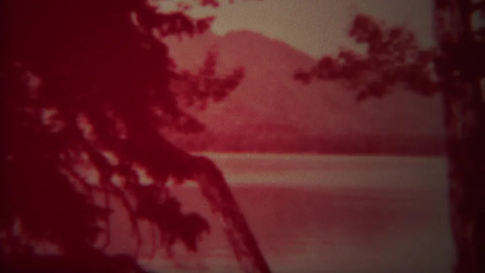 Red-tinted 8mm frame from Yellowstone showing a dark tree in the foreground, water across the middle ground, and soft mountains beyond.