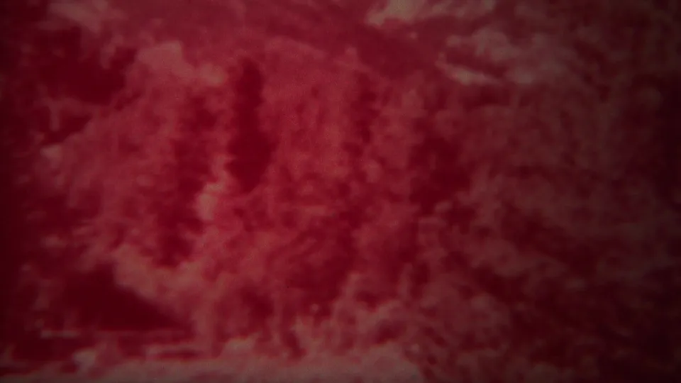 A blurred 1967 Yellowstone home-movie frame shows dense trees and a pale foreground area under a strong red film cast.