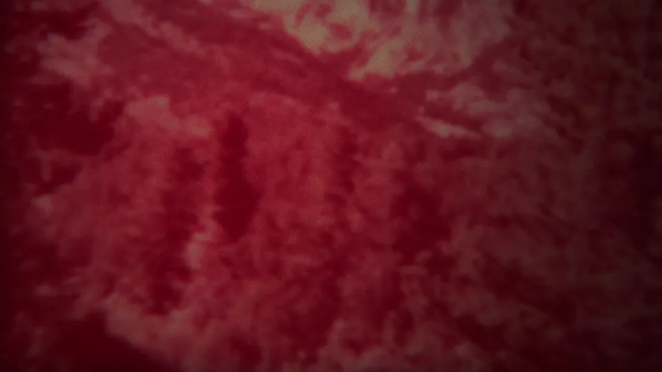 Red-shifted Yellowstone mountain and forest view from 1967, with soft focus and visible home-movie film texture.