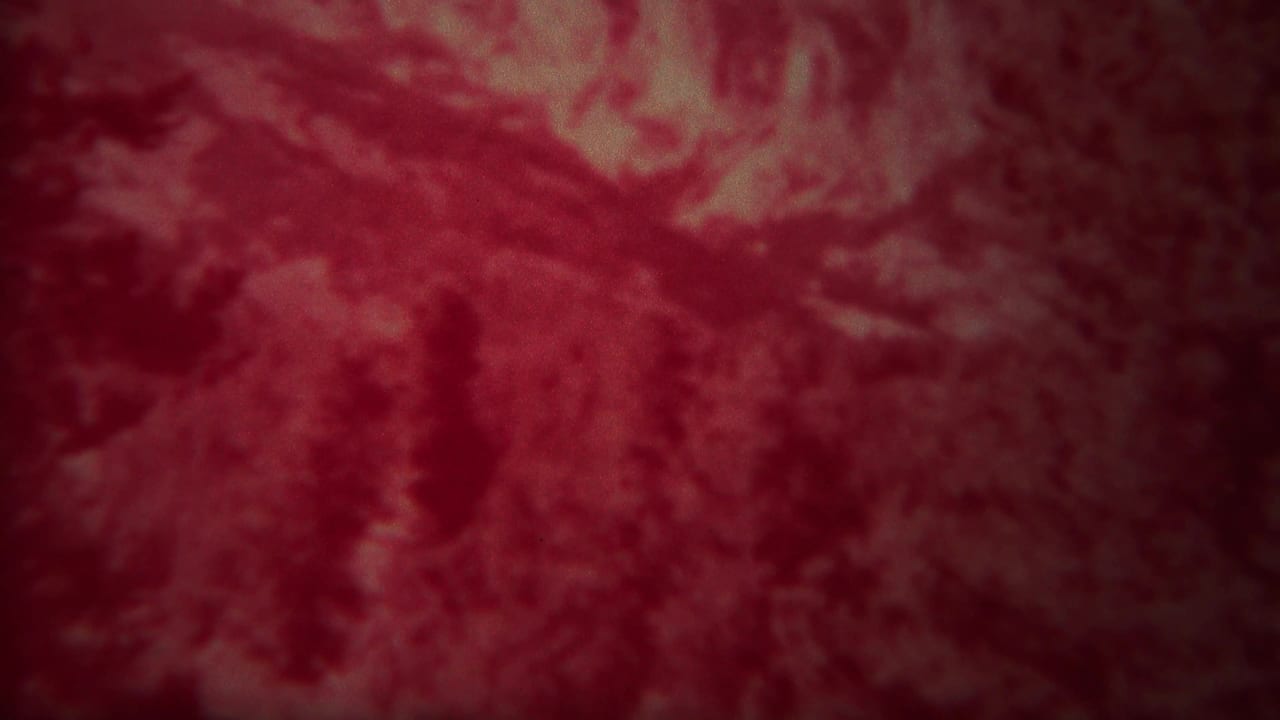 Red-tinted abstract view of mountain texture and dark evergreen shapes.
