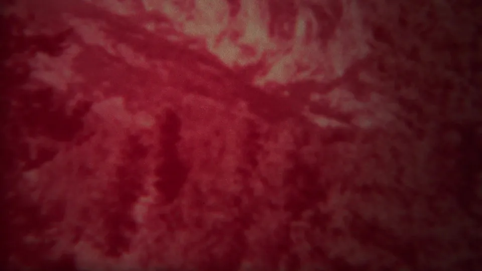 Red-tinted 1967 8mm frame from Yellowstone, Wyoming, showing hazy mountain forms and dark evergreen silhouettes.