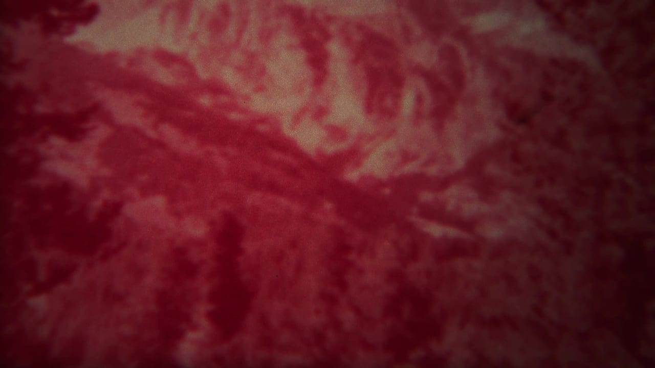 Red-shifted Yellowstone mountain landscape on 8mm film, with pale slope detail and dark conifer shapes near the frame edges.