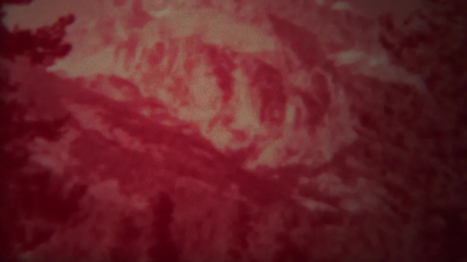 A 1967 8mm Yellowstone frame shows red-tinted mountain terrain, pale ridge areas, and dark evergreen silhouettes.