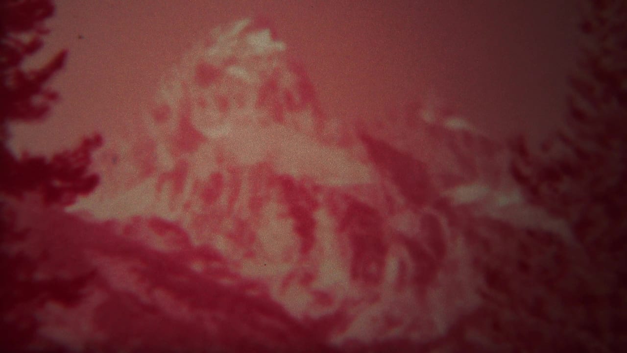 Red-tinted mountain peak behind dark evergreen trees.