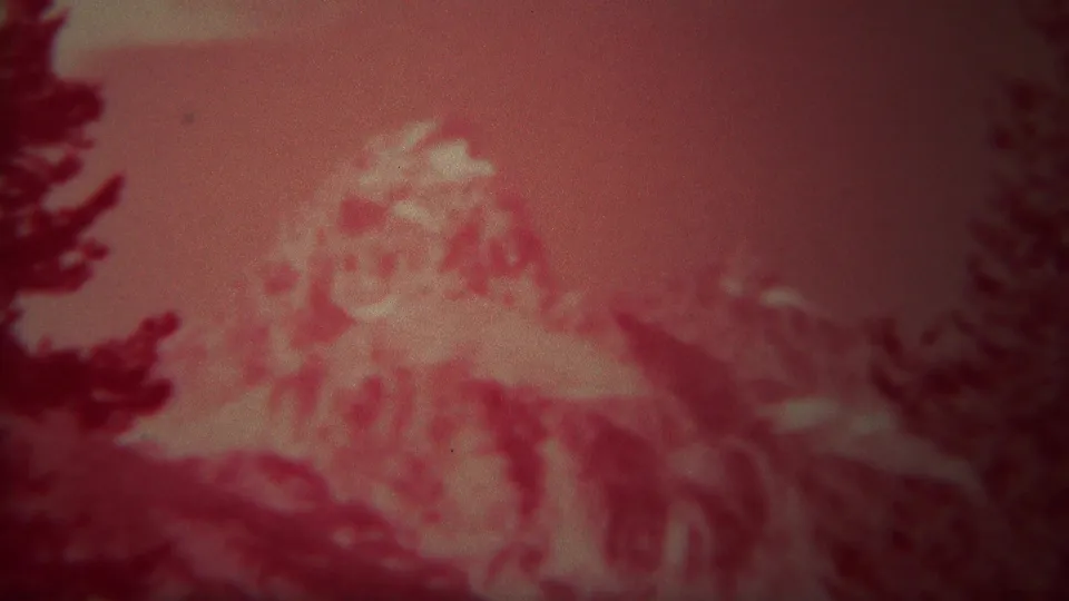 Red-tinted 1967 Yellowstone frame with a pale mountain peak, dark tree silhouettes, and soft 8mm grain.