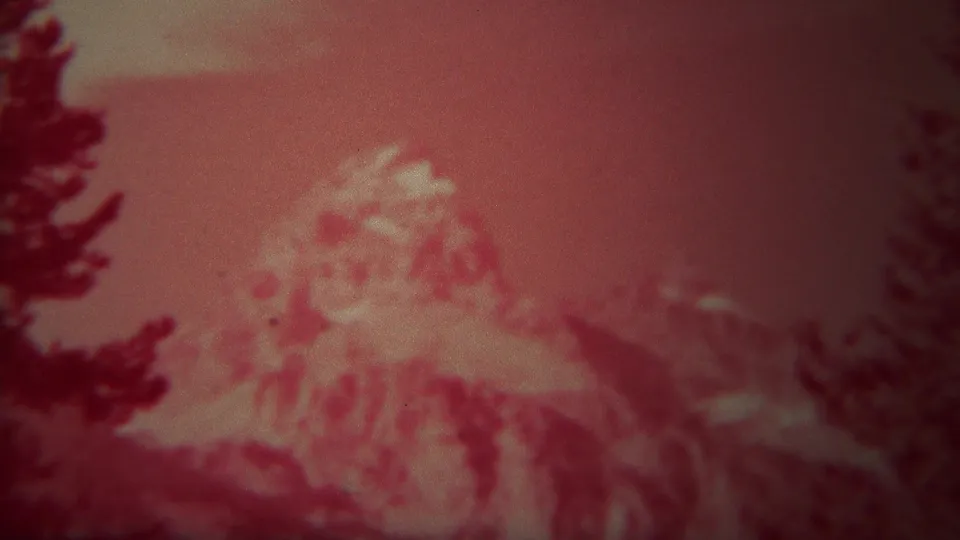 1967 Yellowstone 8mm frame showing a blurred red-cast mountain scene with dark conifers crossing the foreground.