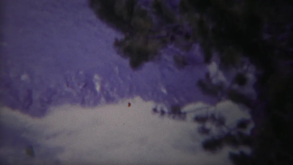 1967 Yellowstone 8mm frame showing churning water beneath dark tree forms and a strong purple-gray film cast.