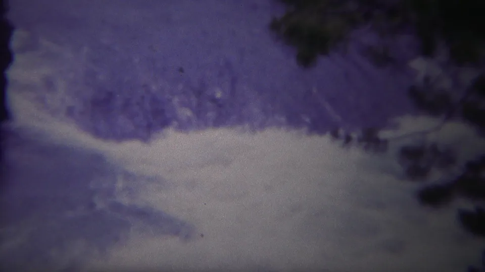 Yellowstone 8mm frame with pale turbulent water, dark branch silhouettes, and soft purple-gray archival color shift.
