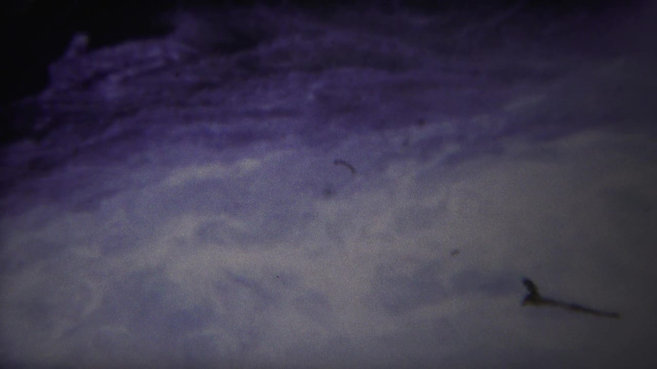 1967 Yellowstone 8mm frame showing shadowed turbulent rapids and pale foam across dark water.