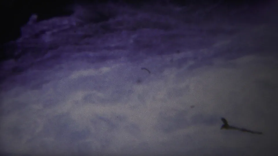 1967 Yellowstone 8mm frame showing shadowed turbulent rapids and pale foam across dark water.