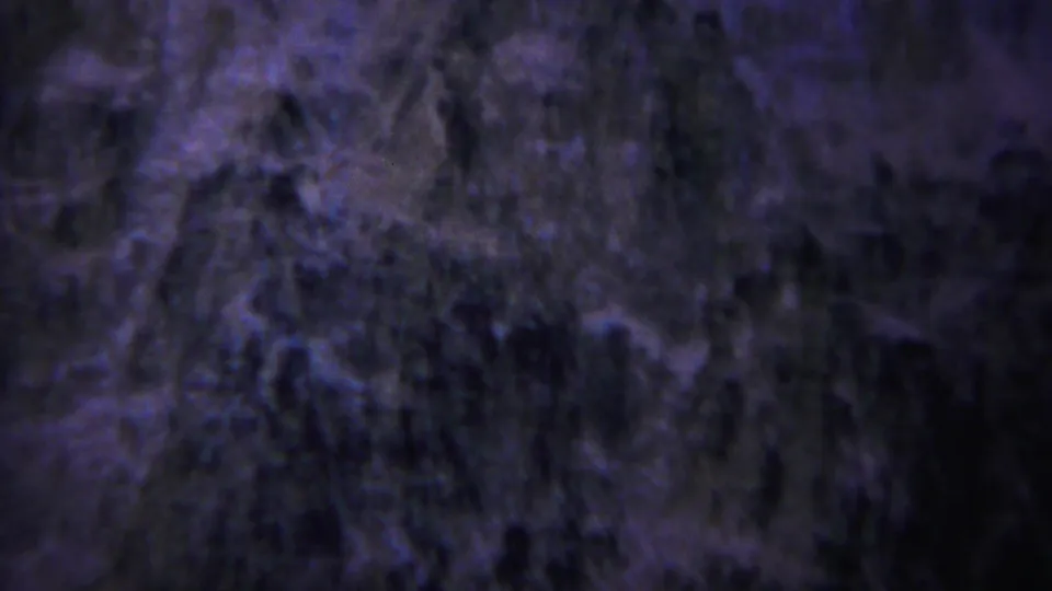 1967 Yellowstone home-movie frame with a close, soft view of rough natural texture under blue-violet shadow and grain.