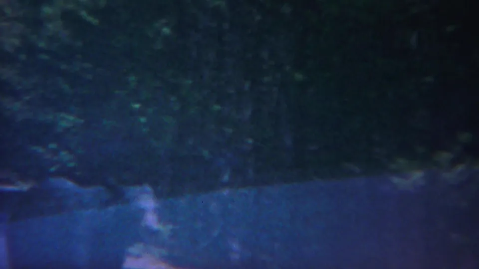 Blue-toned 1967 Yellowstone home-movie frame showing a shadowed wooded roadside and a partial vehicle form near dense trees.