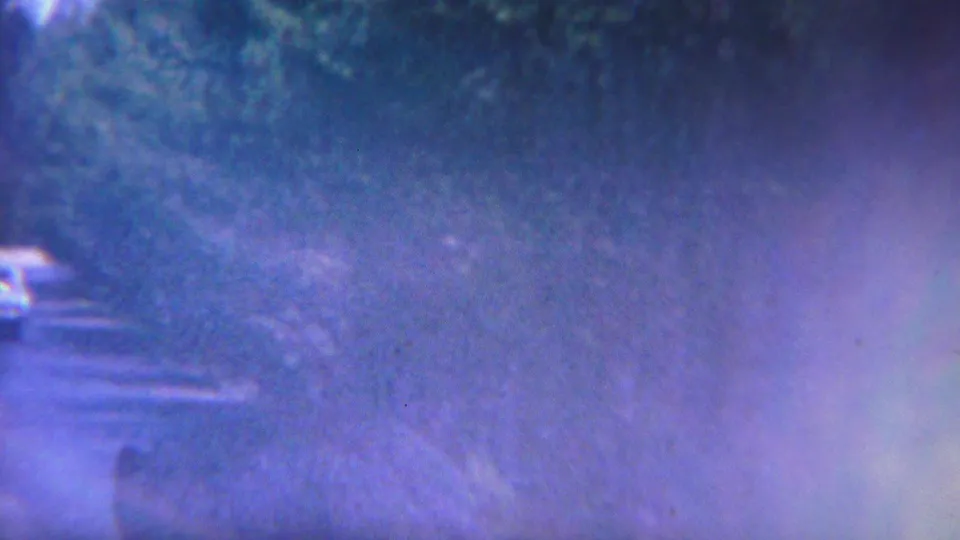 Soft 8mm Yellowstone frame with bright haze, blue color shift, trees, and an indistinct roadside or water surface.