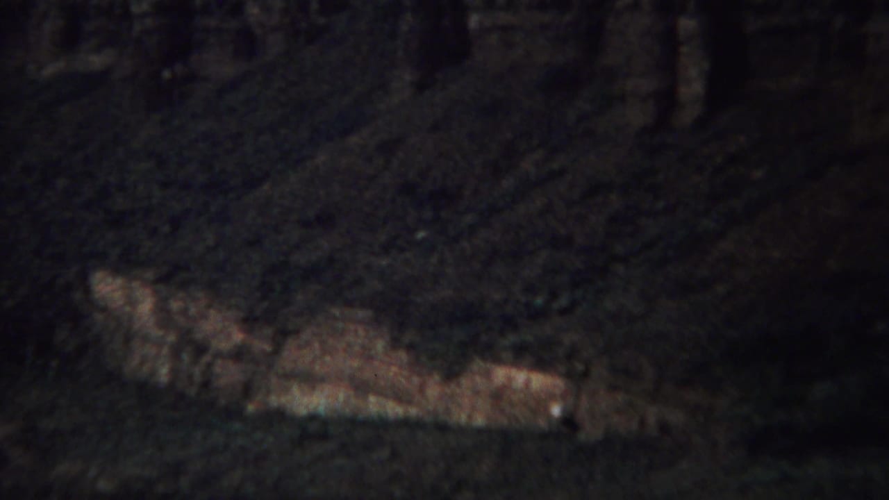 Layered rock face below a dark hillside.