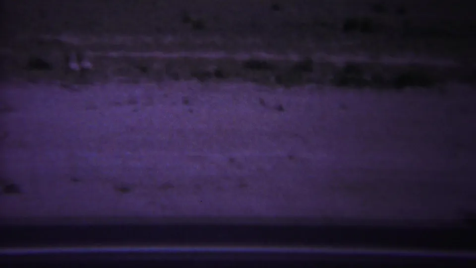The frame shows the road edge and open Yellowstone roadside terrain, with the deer no longer clearly visible in this contact-sheet panel.