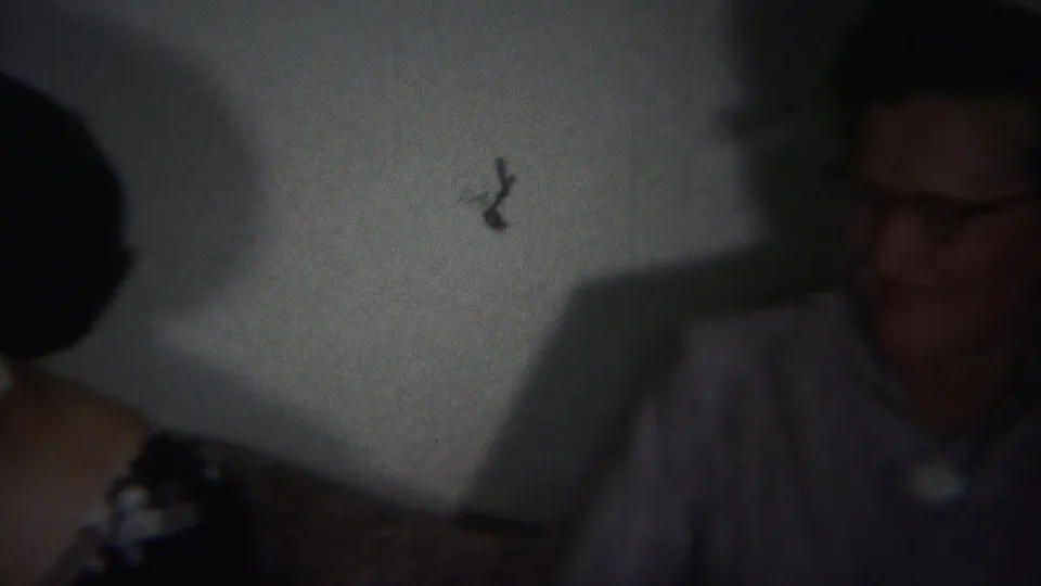 The final frame shows a cropped view of the older woman at the edge of the Westville interior, with plain wall and shadow dominating the scene.