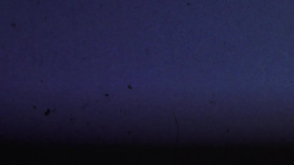 Underexposed 8mm frame from the 1959 Paramus clip, showing blue color cast, film specks, and minimal visible room detail.
