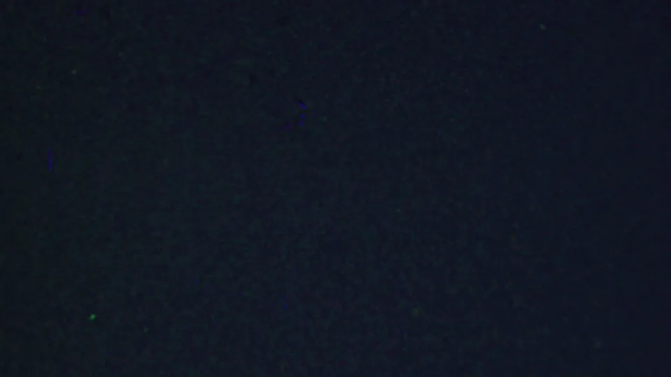 Dark opening frame from 1959 8mm home-movie footage, showing grain and underexposed film texture before the table appears.