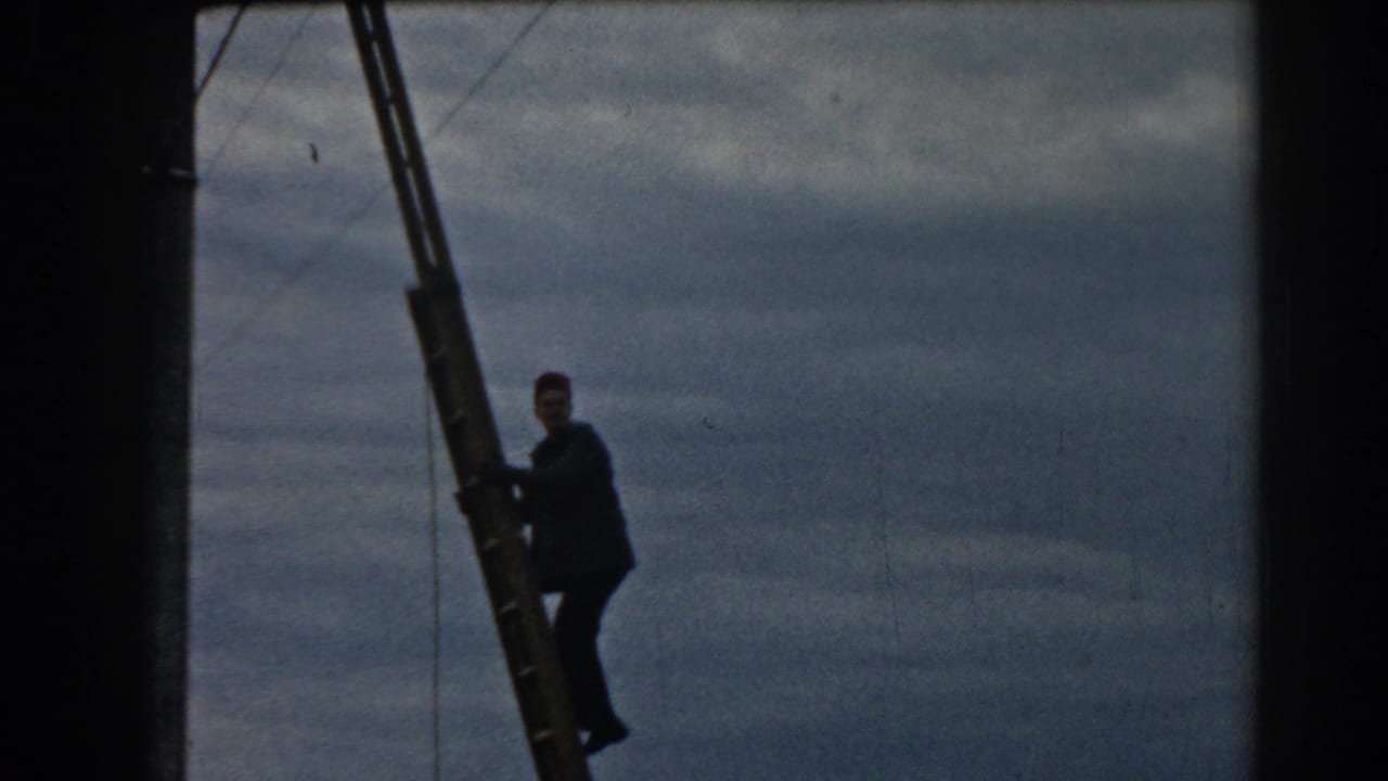 Worker paused on a ladder with overhead wires visible against the sky.