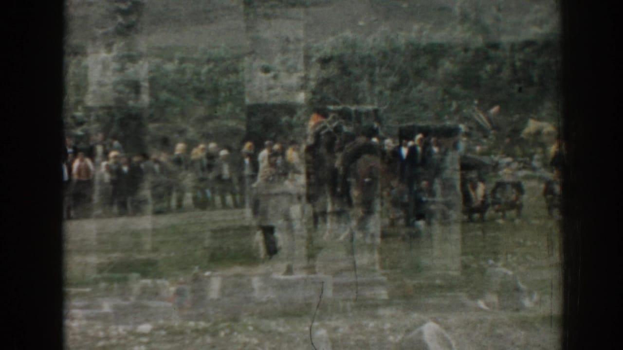 Tourists stand near a site sign with animals, carts, and vehicles visible at the Ephesus ruins.