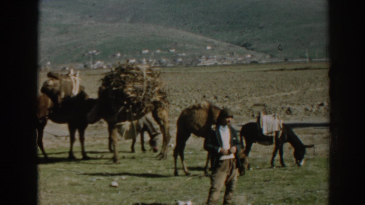 1962 8mm frame near Ephesus showing a man in a dry field with loaded pack animals and a distant hillside settlement.