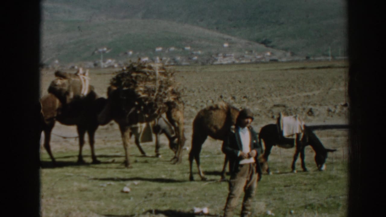 1962 home-movie frame near Ephesus with a man, grazing donkey, and loaded camels or donkeys against hills and village buildings.