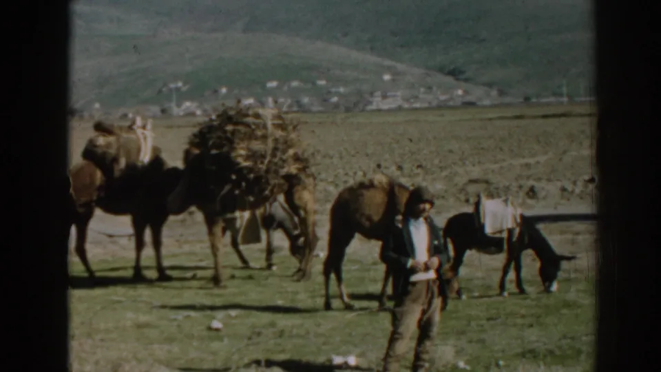 1962 home-movie frame near Ephesus with a man, grazing donkey, and loaded camels or donkeys against hills and village buildings.